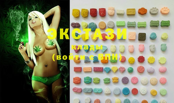 ECSTASY Богородицк