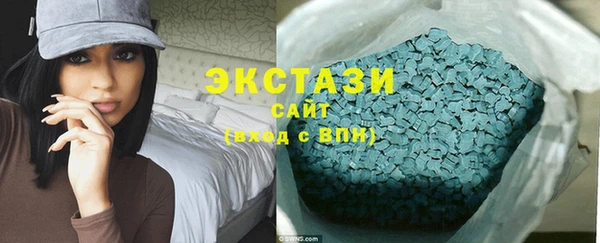 ECSTASY Богородицк